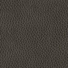 Center Line Power Reclining Sectional