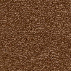 Healy Pier Power Reclining Sofa