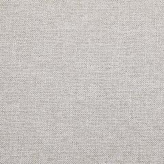 Rainier Ranch Outdoor Swivel Chair with Cushion (Set of 2)